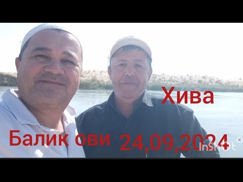 Видео: Хива балик ови 24,09,2024