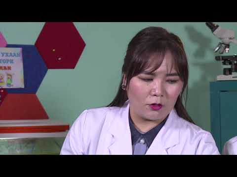 Видео: Хөшүүрэг