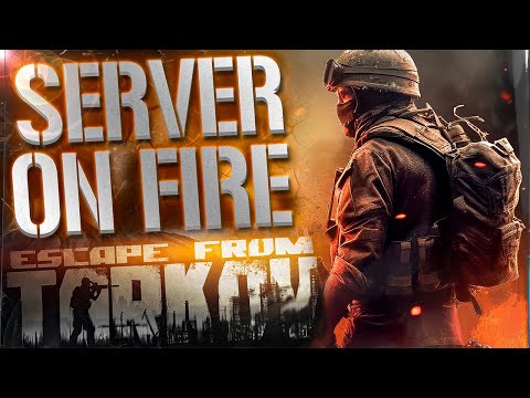 Видео: СЕРВЕР В ОГНЕ - EFT WTF MOMENTS 358 - Лучшие моменты Escape From Tarkov