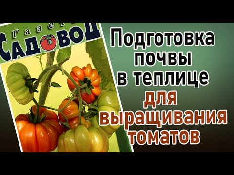 Видео: Подготовка почвы в теплице для выращивания томатов