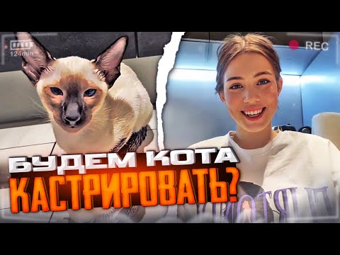 Видео: АКУЛИЧ И КОРЕШ КАСТРИРУЮТ НОВОГО КОТА!? | МИЛЫЙ ДОМАШНИЙ ИРЛ СТРИМ АКУЛИЧ С НОВЫМ ПИТОМЦЕМ БАРЕЙ