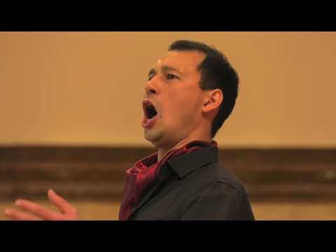 Видео: Ярамир Низамутдинов - Туган ягым (на бис). Р. Яхин. Гимн Республики Татарстан. Бурные аплодисменты.