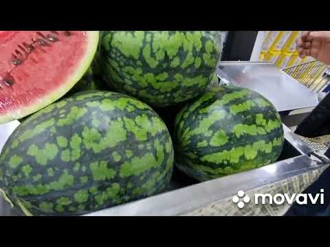 Видео: Норильск/ЛЁД/РАССТАЯЛ/ОБЗОР ЦЕН В МАГАЗИНАХ