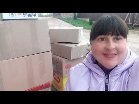 Видео: Цілий день займалися саджанцями....