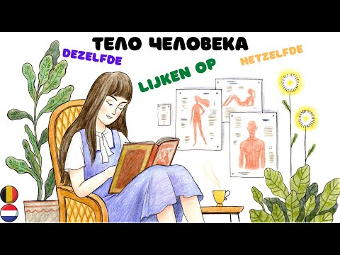 Видео: Нидерландский (голландский) язык: тело человека. Hetzelfde / Dezelfde