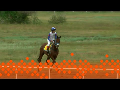 Видео: «И.С.Свинобоев-Тыыннаахап бирииһигэр ат сүүрдүүтэ»   (20.07.24)