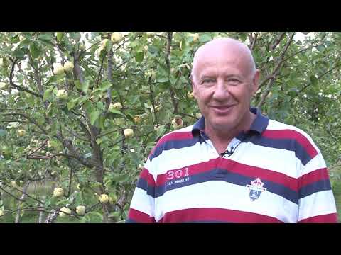 Видео: ЛЕБЕДЬ 2018 Mix