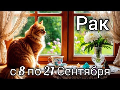 Видео: 🌞Раки! Таро прогноз с 8 по 21 Сентября!