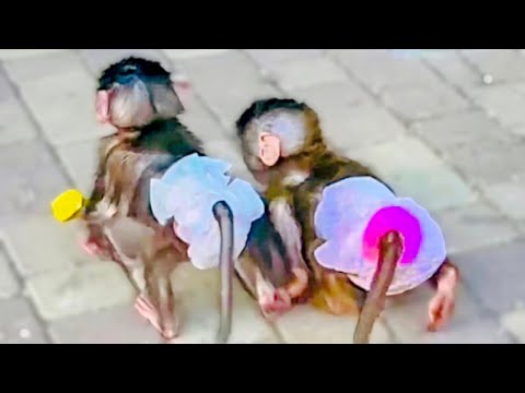 Видео: Степашка и Маняшка УДРАЛИ из ДОМА и отправились гулять по парку)))