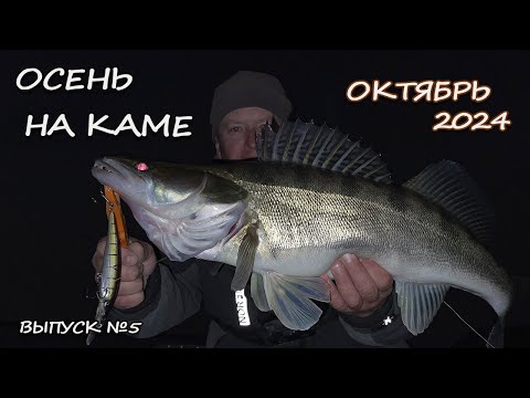 Видео: Рыбалка с Panoptix на течении | Воблеры, большая резина, крупные судаки. Осень 2024, выпуск 5