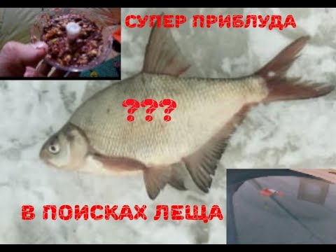 Видео: Зимняя Рыбалка 2018 - 2019. В поисках леща. Первая часть.