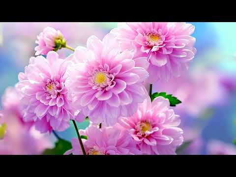 Видео: Голос души 💖 Исцеляющая музыка Сергея Грищука для сердца и спокойствия