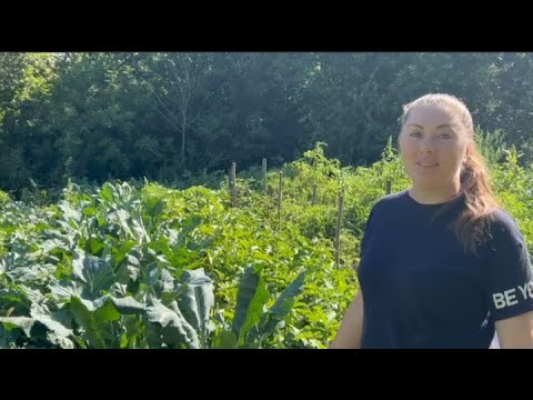 Видео: Баклажаны по-грузински на зиму//Овощное рагу с курицей.