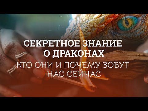 Видео: Виды Драконов, их энергии и способы взаимодействия! 