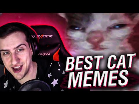 Видео: BEST CAT MEMES COMPILATION #48 // РЕАКЦИЯ HELLYEAHPLAY