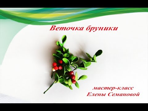 Видео: Веточка с ягодами брусники из силикона и фоамирана .Мастер-класс Елены Семановой.