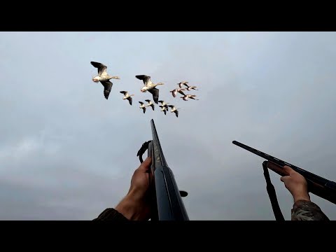 Видео: ЛУЧШАЯ ОХОТА НА ГУСЯ ЗИМОЙ 2025!!!ТЫСЯЧИ ГУСЕЙ!!!ТАКИХ ГУСЕЙ Я ЕЩЕ НЕ ДОБЫВАЛ!!!
