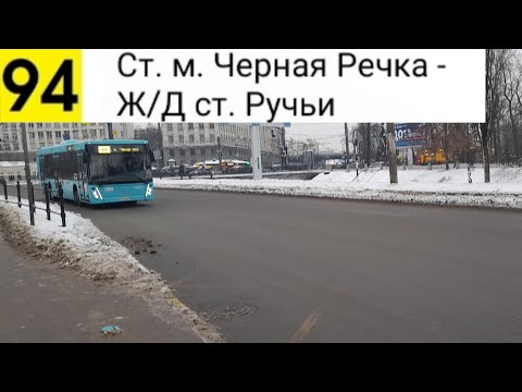Видео: Автобус 94. Ст. м. Черная Речка - Ж/ Д ст. Ручьи