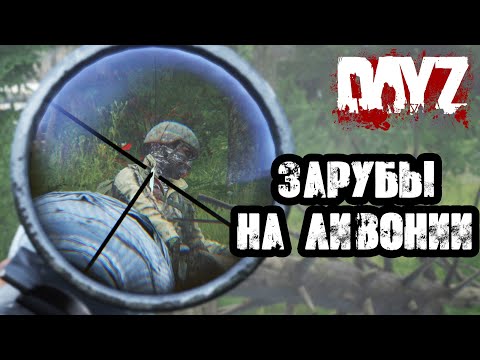 Видео: DAYZ | ЗАРУБЫ НА ЛИВОНИИ!