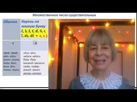 Видео: Краткий курс словацкой грамматики IV-грамматика на практике 18. Множественное число существительных.