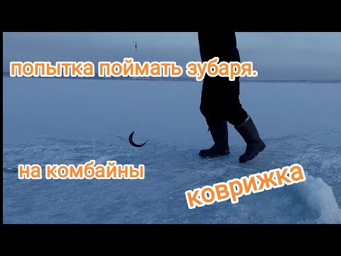Видео: зимняя рыбалка в Приморье. рыбалка на комбайны приморье. рыбалка межковрижье.