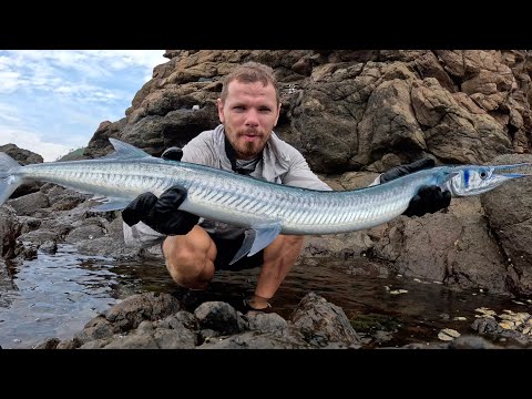 Видео: Сарган - мутант! Я никогда не видел таких гигантов