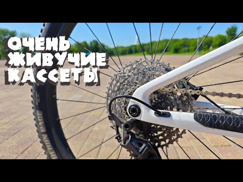 Видео: Ресурс трансмиссий | О кассетах, смазках, цепях и звёздах за 18 лет тренировок и гонок