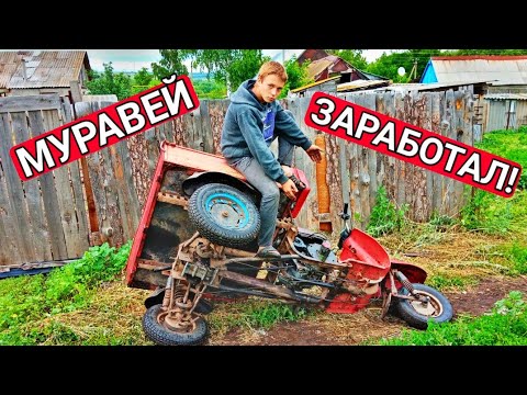 Видео: МУРАВЕЙ ЗАРАБОТАЛ!! ЗАВЁЛ МУРАВЕЙ СПУСТЯ ДОЛГОЕ ВРЕМЯ!