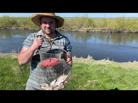 Видео: НАРЕШТІ ПОЧАЛА КЛЮВАТИ!!! Фідер на р.Горинь. Рибалка 2023