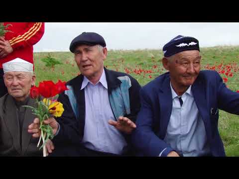 Видео: Жамбыл облысы, Талас ауданы, Қараой елді мекенінің деректі фильмі