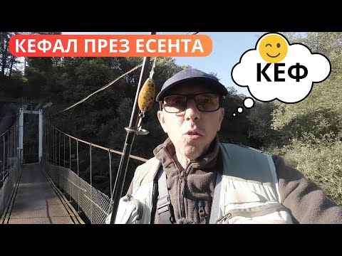 Видео: КЕФАЛ ПРЕЗ ЕСЕНТА