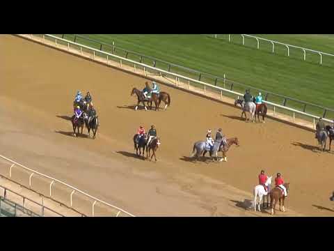 Видео: R1/BELMONT в Big A-USA