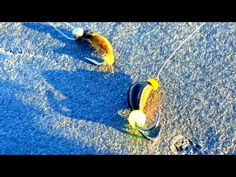 Видео: Эта безмотылка сделала всю рыбалку!!! Рыбалка на безмотылку!!!Лучшая безмотылка для плотвы и леща!!!