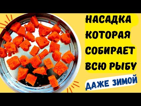 Видео: Несбиваемая насадка для рыбалки, которая собирает много рыбы даже зимой. @Roma_Luk