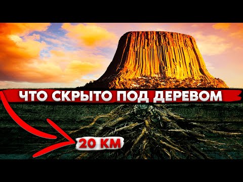 Видео: ЧТО СКРЫВАЮТ ГИГАНТСКИЕ ДЕРЕВЬЯ ПРОШЛОГО? Вот почему ОБ ЭТОМ молчат историки!