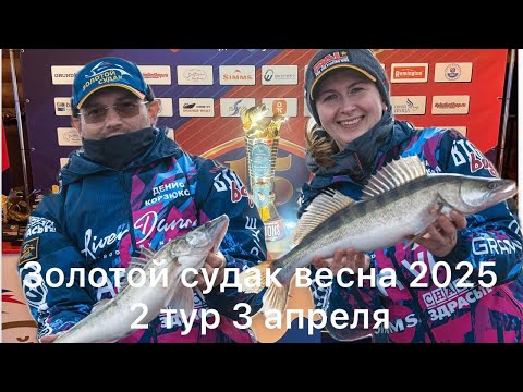 Видео: Золотой судак весна 2025 2 тур