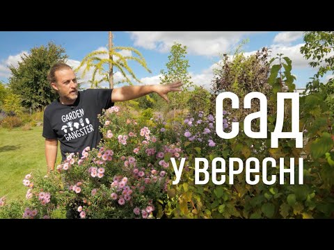 Видео: ЛАНДШАФТНИЙ ДИЗАЙН | САД У ВЕРЕСНІ