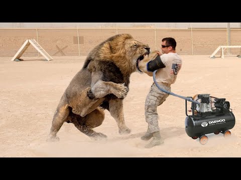 Видео: ТІСТЕСЕ БІТТІҢ ҒОЙ | ӘЛЕМДЕГІ ЕҢ МЫҚТЫ ЖАҚ СҮЙЕКТІ ЖАНУАРЛАР