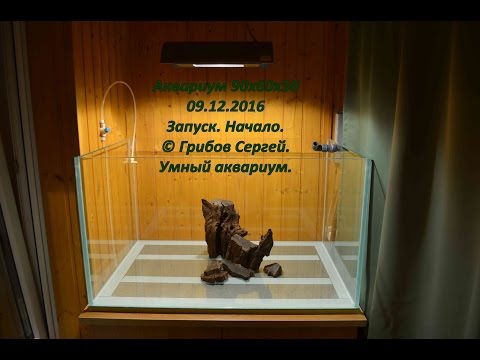 Видео: Запуск аквариума 270л. Начало.