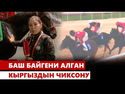 Видео: Кыргызстандын тулпары жорго салышта биринчи келди