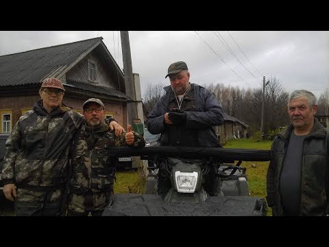 Видео: Охота, русские гончие  Ругай вл.Фоктов М. и Ю-Говоруша вл.Шатров В.