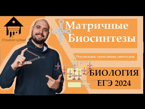 Видео: Матричные БИОСИНТЕЗЫ - Репликация, Транскрипция, Трансляция ДЛЯ ЕГЭ 2024 |ЕГЭ БИОЛОГИЯ|Freedom|