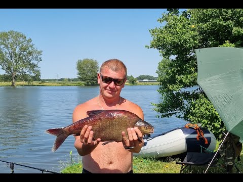 Видео: РЫБАЛКА В ГОЛЛАНДИ! НЕРЕАЛЬНАЯ РЫБАЛКА +40 ГРАДУСОВ ЖАРЫ!