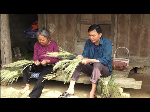 Видео: Продажа помело, выращивание свиней и кур в горах.  Роберт |  Зеленая лесная жизнь