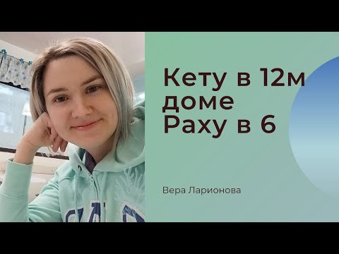 Видео: Кету в 12 доме Раху в 6 доме