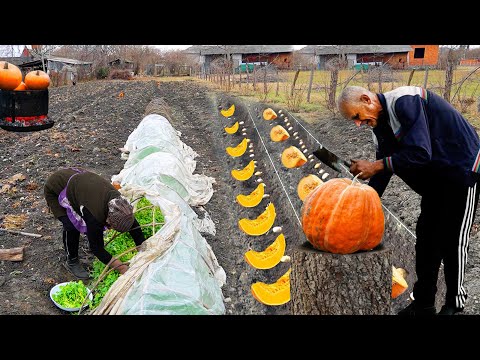 Видео: Готовим тыквенный плов и тыквенный десерт в деревне моей бабушки - деревенский рецепт