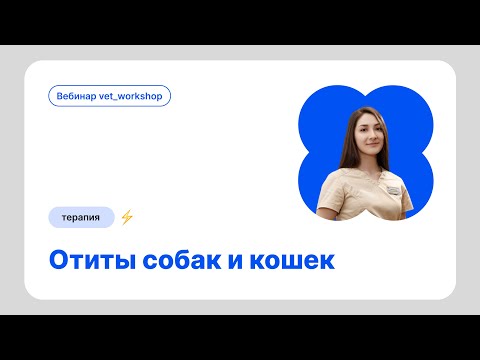 Видео: Отиты у собак и кошек