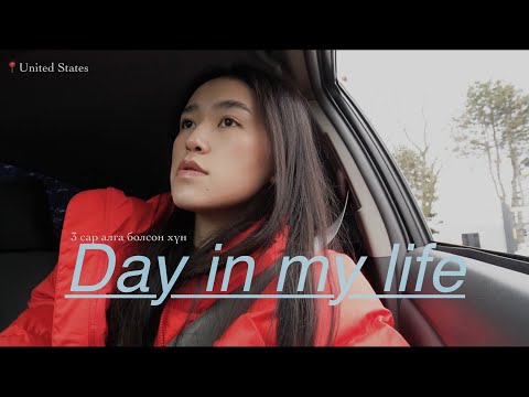 Видео: Зуны улиралтай хамт би ирлээ! дулаахан газар луу нүүдэг юм бил үү?