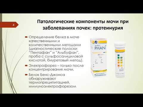 Видео: ПАТОБИОХИМИЯ ПОЧЕК