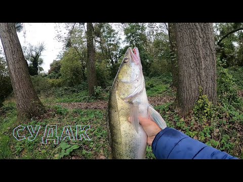 Видео: Судак на Воблер